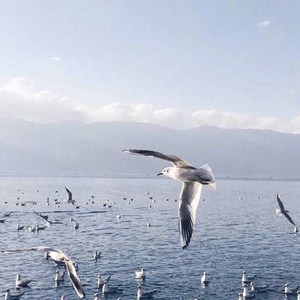 中国黄色一级毛片
