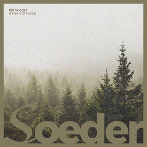 中国黄色一级毛片
