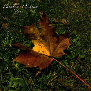 中国黄色一级毛片
